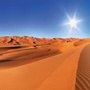 صورة العضو الرمزية